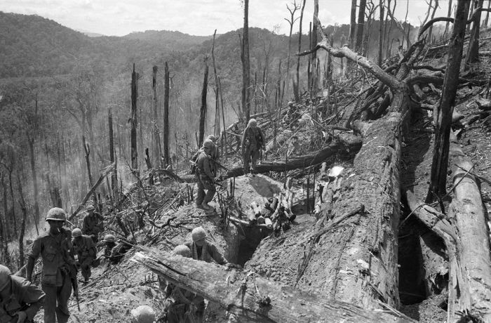 The Vietnam War (36 pics)