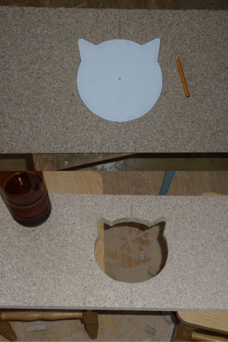 DIY Cat House (40 pics)