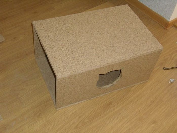 DIY Cat House (40 pics)