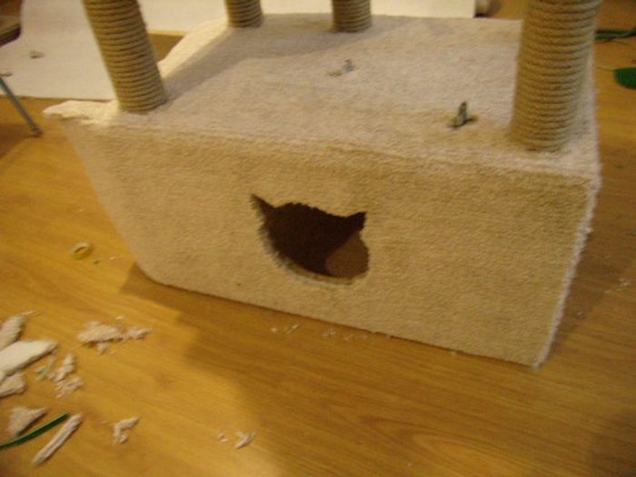 DIY Cat House (40 pics)
