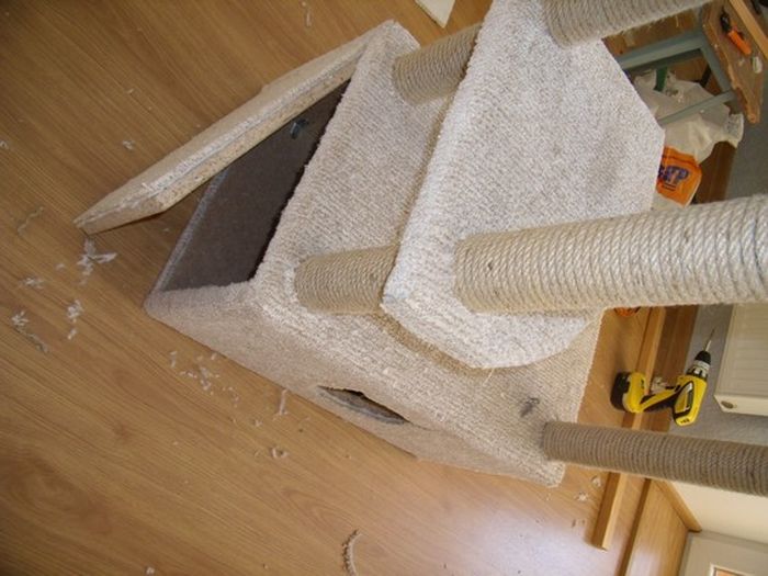 DIY Cat House (40 pics)