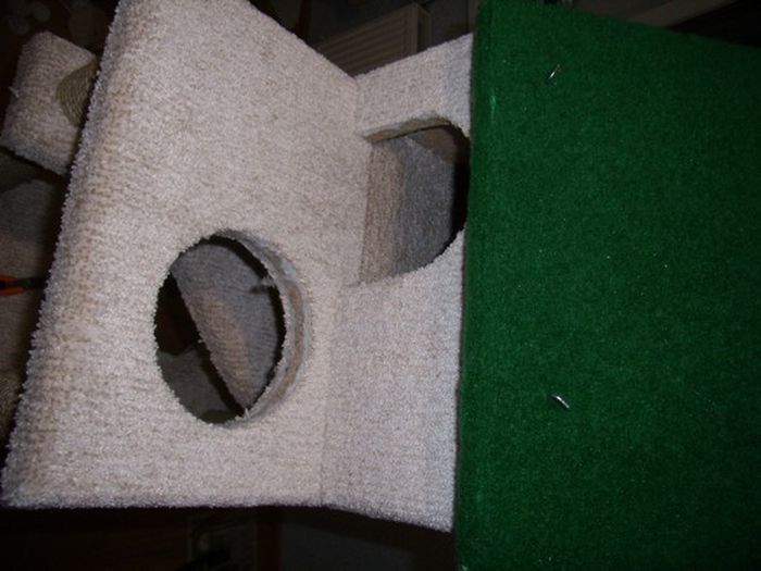 DIY Cat House (40 pics)
