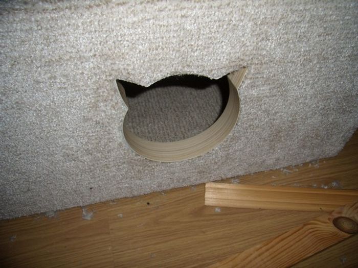 DIY Cat House (40 pics)
