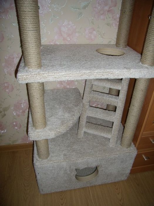 DIY Cat House (40 pics)
