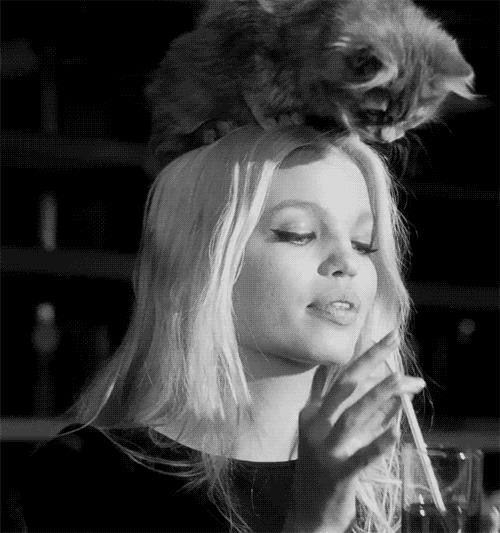 Acid Gifdump (24 gifs)