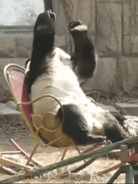 Acid Gifdump (24 gifs)