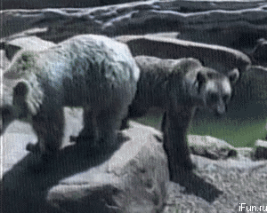 Acid Gifdump (24 gifs)