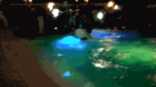 Acid Gifdump (24 gifs)