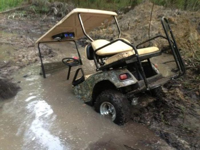 One More Picdump for Today (52 pics)