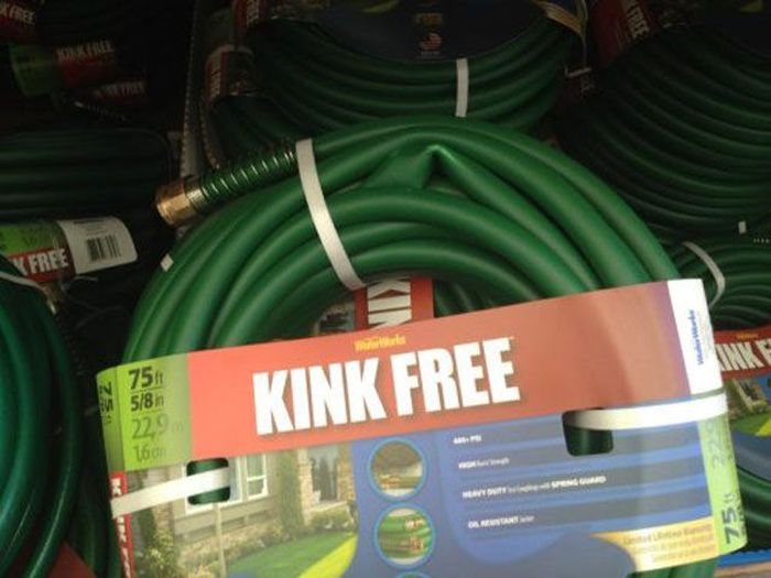One More Picdump for Today (52 pics)