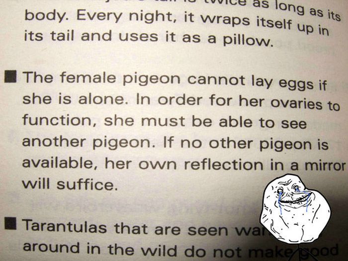 Forever Alone. Part 3 (50 pics)