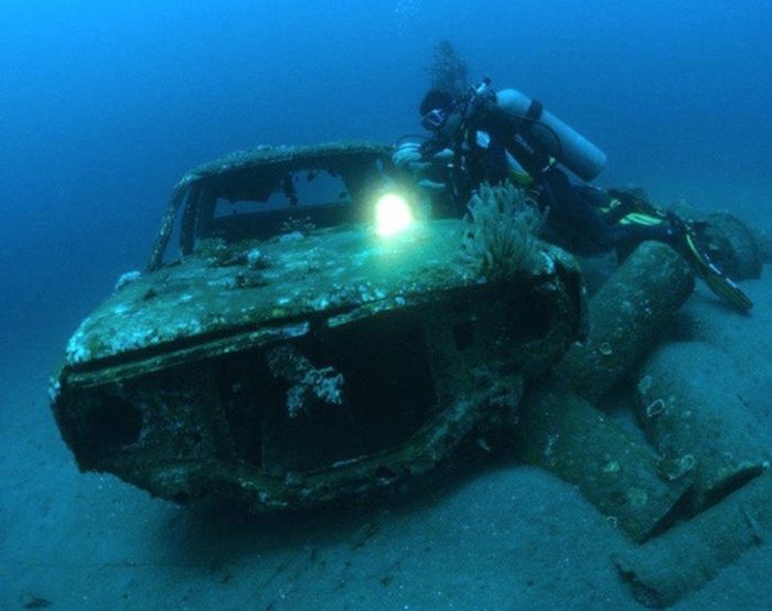 Cars Reef (44 pics)