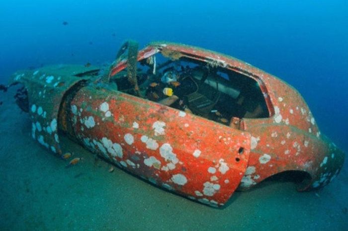 Cars Reef (44 pics)