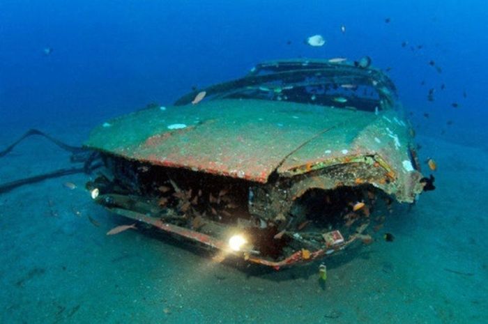 Cars Reef (44 pics)