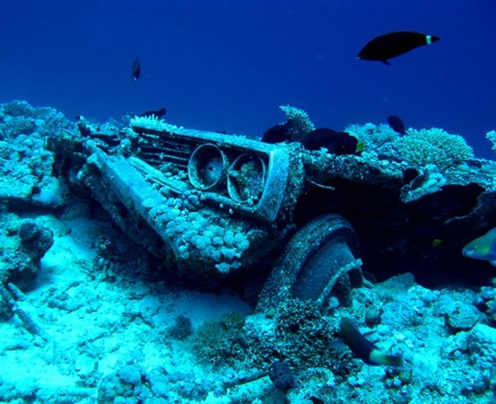 Cars Reef (44 pics)