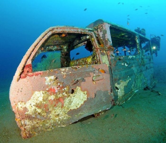 Cars Reef (44 pics)