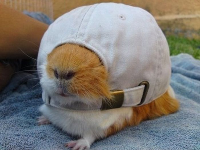 Acid Picdump (113 pics)