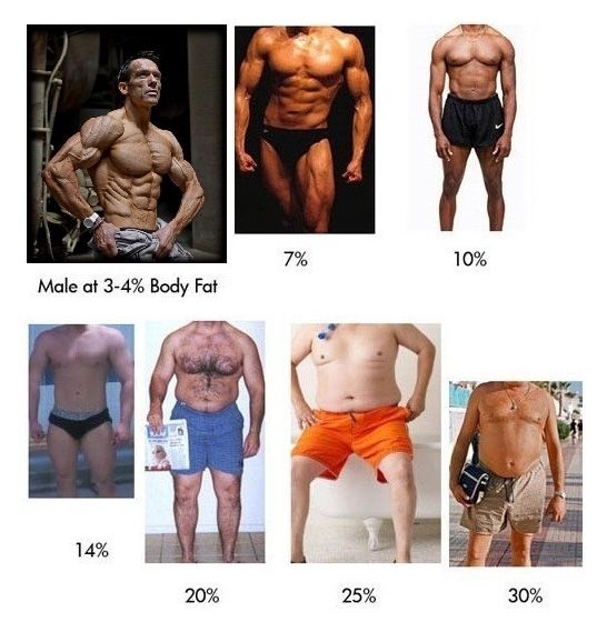 Body Fat Percentage Explained (2 pics)