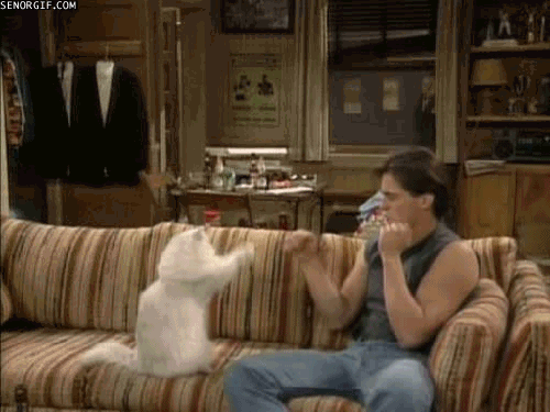 Acid Gifdump (20 gifs)