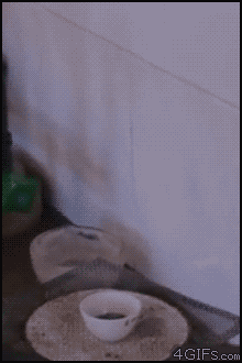 Acid Gifdump (20 gifs)