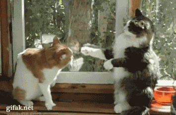 Acid Gifdump (20 gifs)