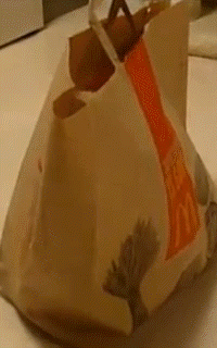 Acid Gifdump (20 gifs)