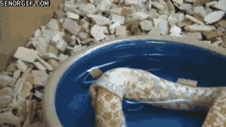 Acid Gifdump (20 gifs)