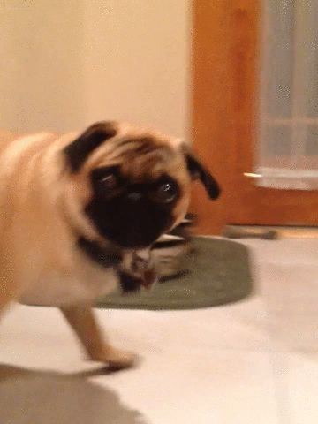 Acid Gifdump (20 gifs)