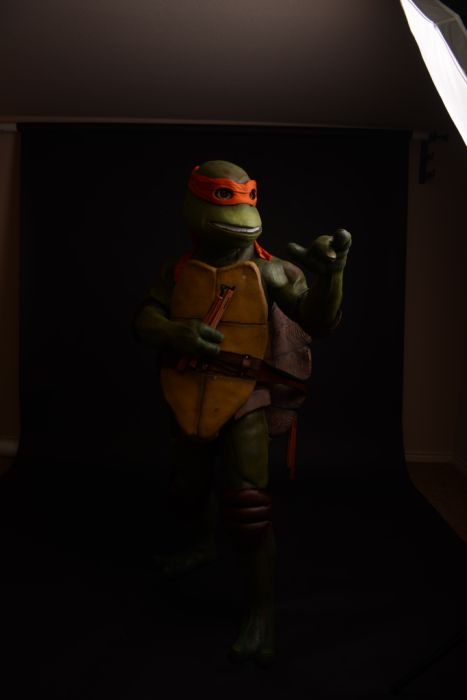 Awesome TMNT Costume (114 pics)