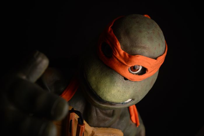 Awesome TMNT Costume (114 pics)