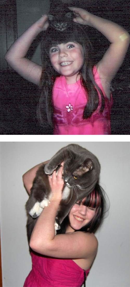 Cats Then and Now (22 pics)