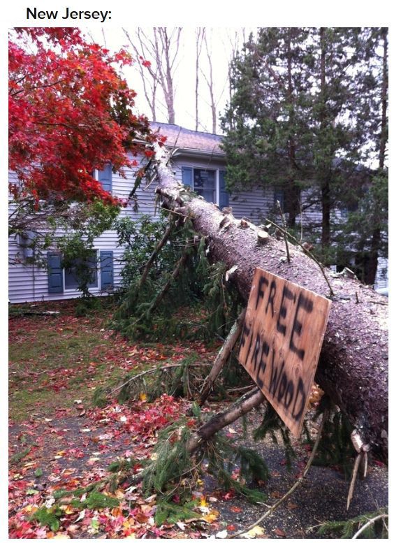 Funny, Absurd and Inspiring After Hurricane Sandy (39 pics)