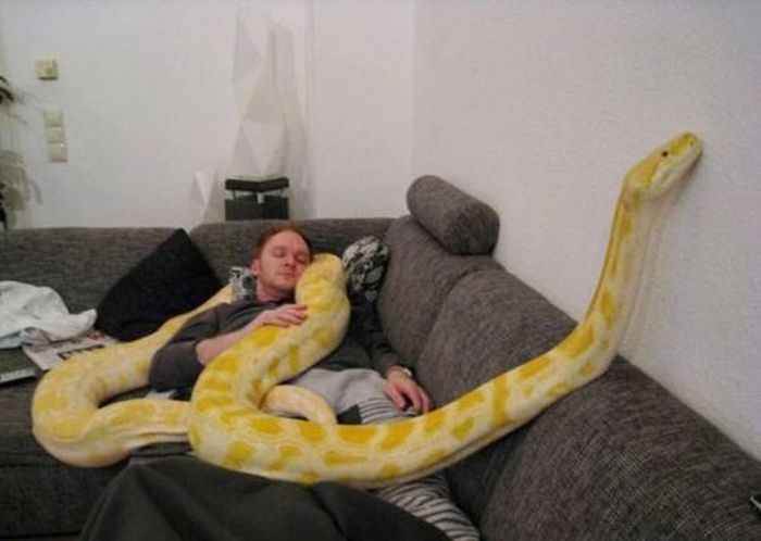 Oh, Sh*t (60 pics)