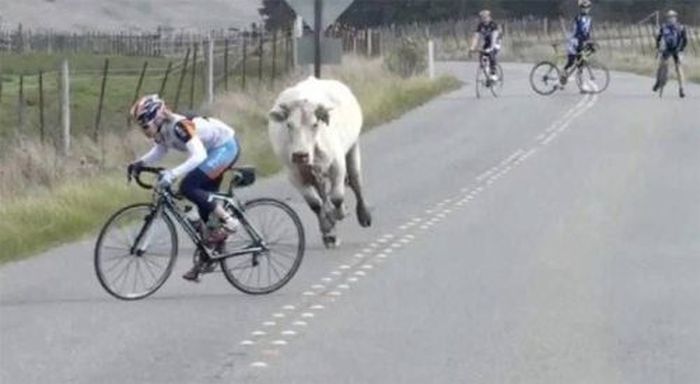 Oh, Sh*t (60 pics)