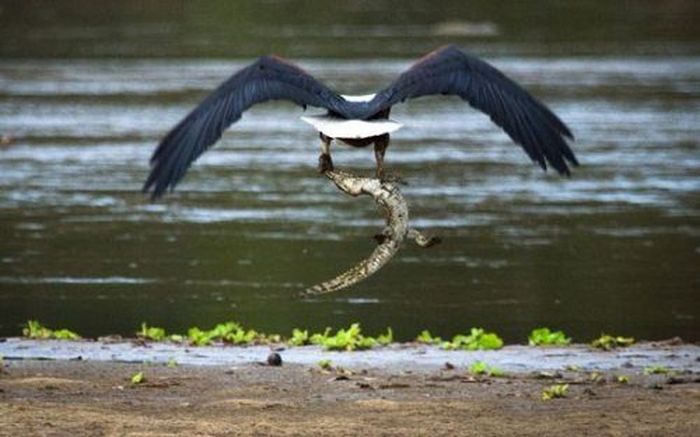 Oh, Sh*t (60 pics)
