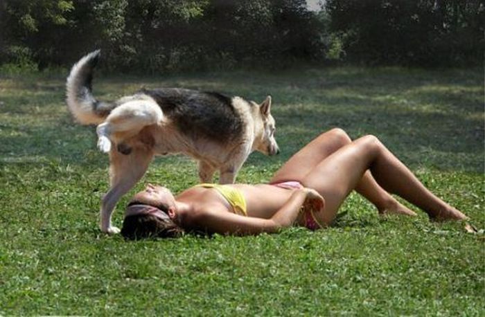 Oh, Sh*t (60 pics)