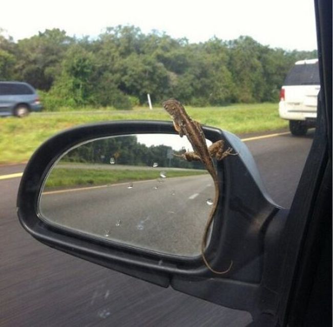Oh, Sh*t (60 pics)