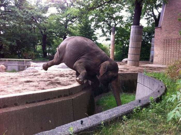 Oh, Sh*t (60 pics)