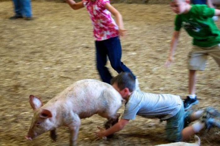 Oh, Sh*t (60 pics)