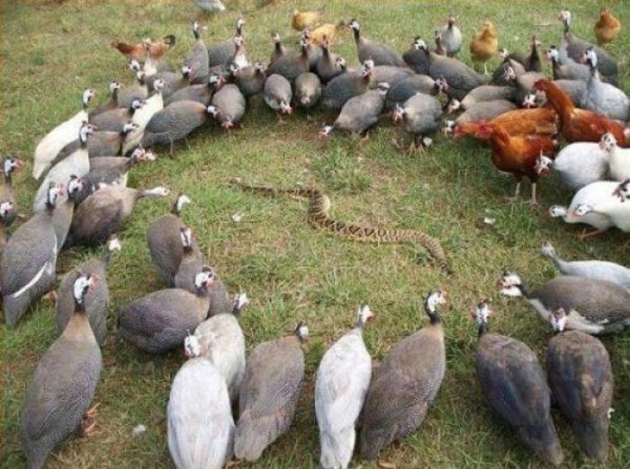 Oh, Sh*t (60 pics)