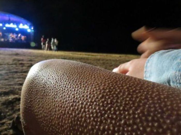 Oh, Sh*t (60 pics)