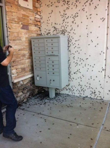 Oh, Sh*t (60 pics)
