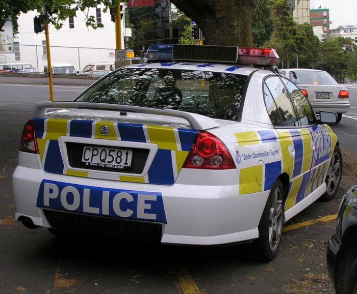 Police Cars (74 pics)