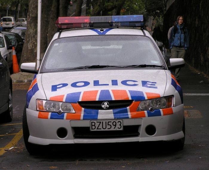 Police Cars (74 pics)