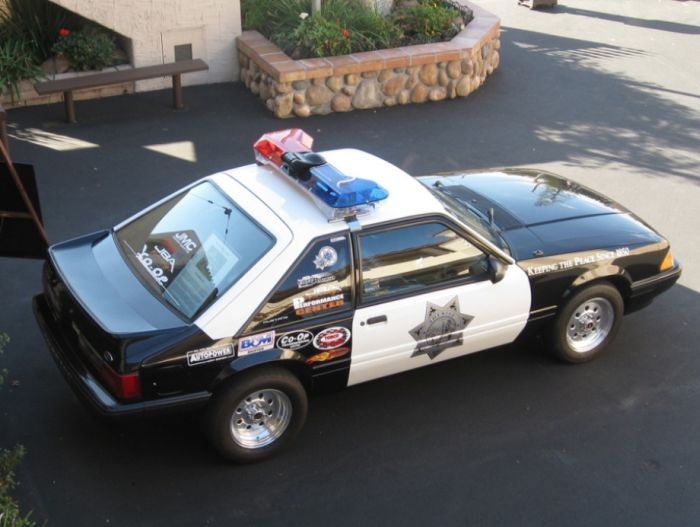 Police Cars (74 pics)