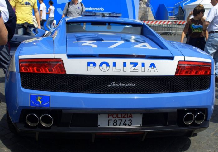 Police Cars (74 pics)