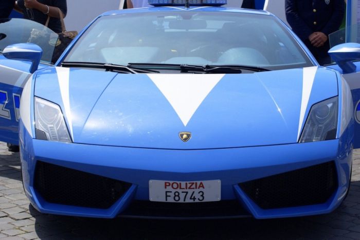 Police Cars (74 pics)
