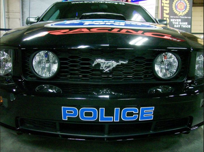 Police Cars (74 pics)