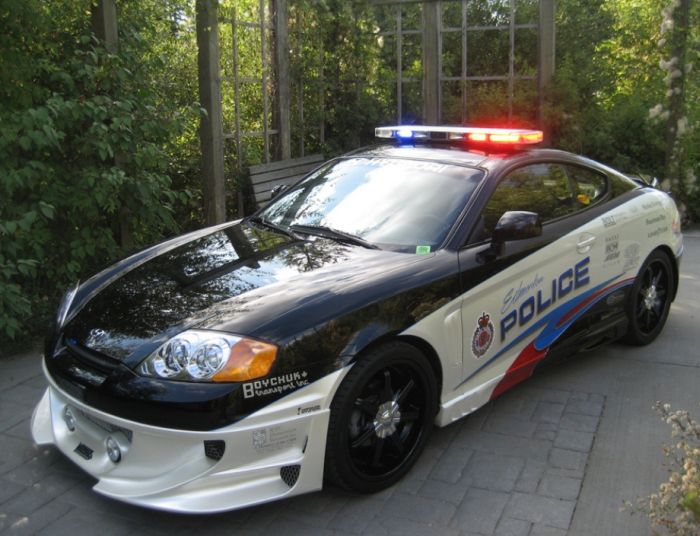 Police Cars (74 pics)
