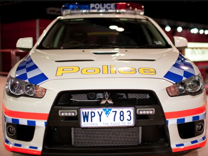 Police Cars (74 pics)